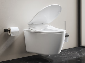 Туалет для биде без бриды