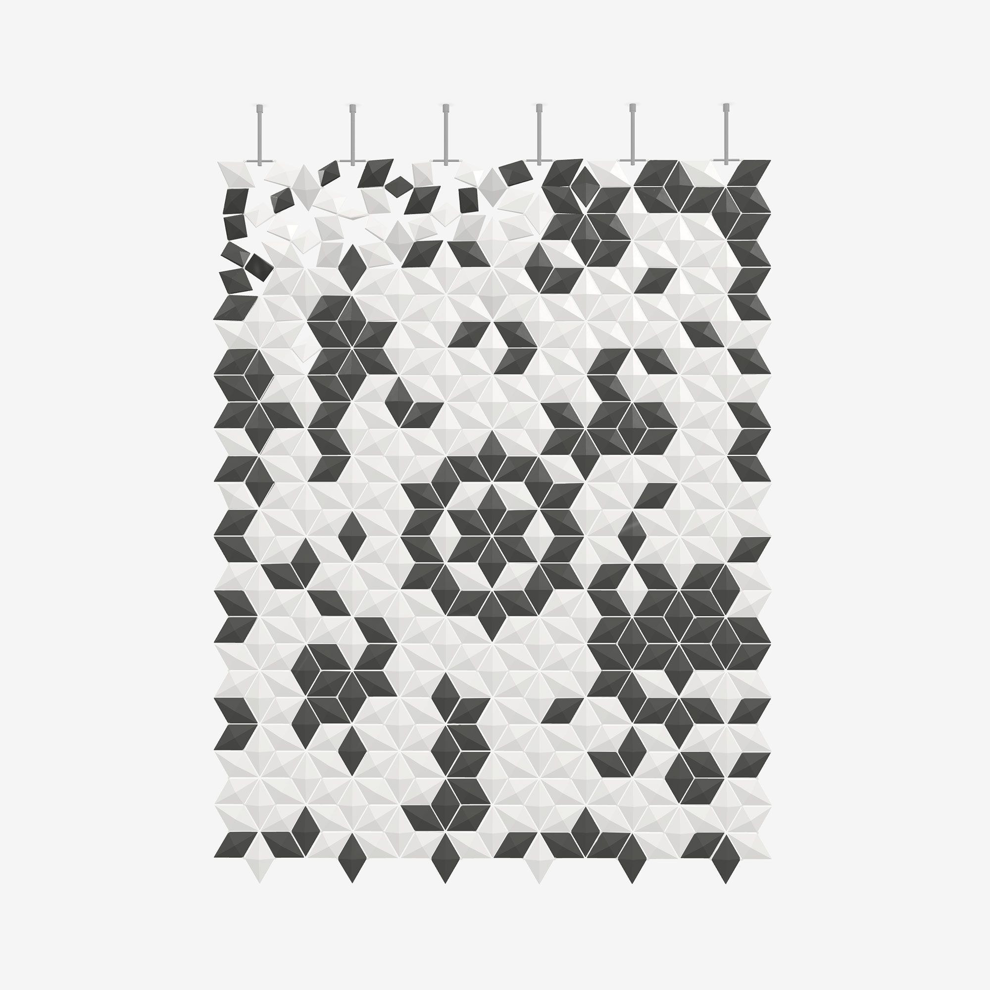 Подвесная перегородка bloomming FACET 204x265 cm bianco e grafite ARCH-00100683 - Вид №2