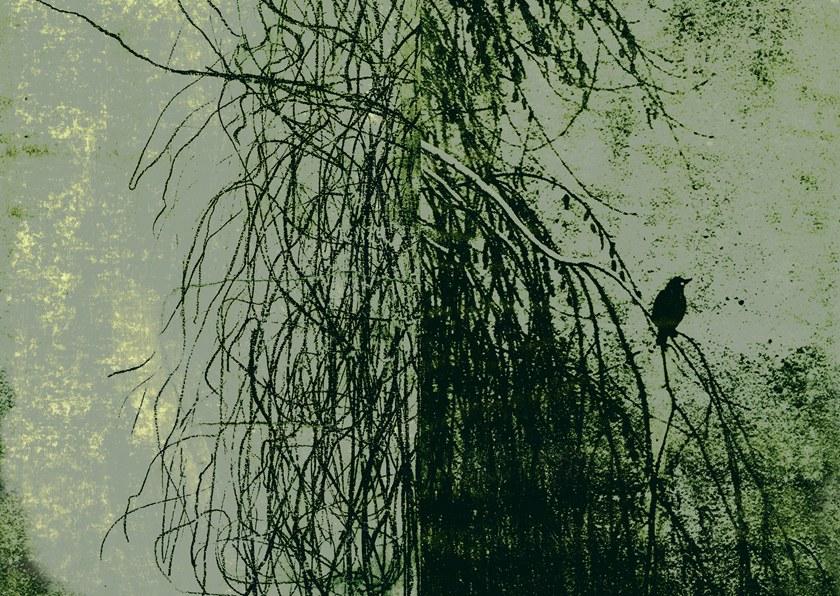 Wall&decò Пейзаж обои Contemporary wallpaper 2018 sun-id-1441482 - Вид №2