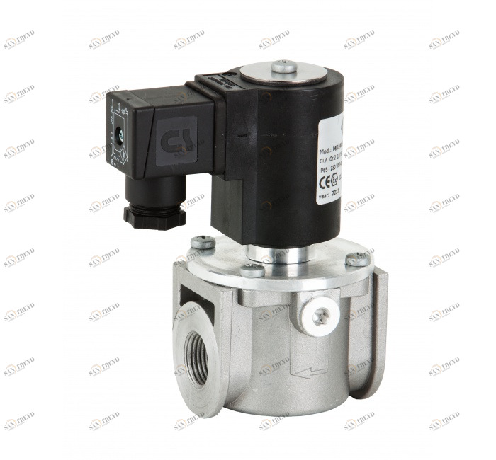 GENEBRE 4110 04 c24v Gas solenoid valve 