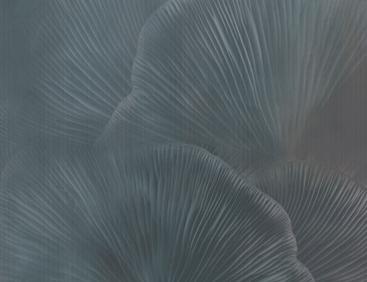 Нетканые обои Tecnografica Natural Shapes ARCH-00044355 - Вид №7