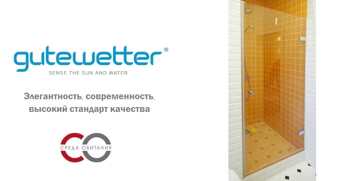 Душевая дверь в нишу 65x200 GK-861 стекло прозрачное 6 мм GUTEWETTER TREND DOOR 65X200GK861 - Вид №1
