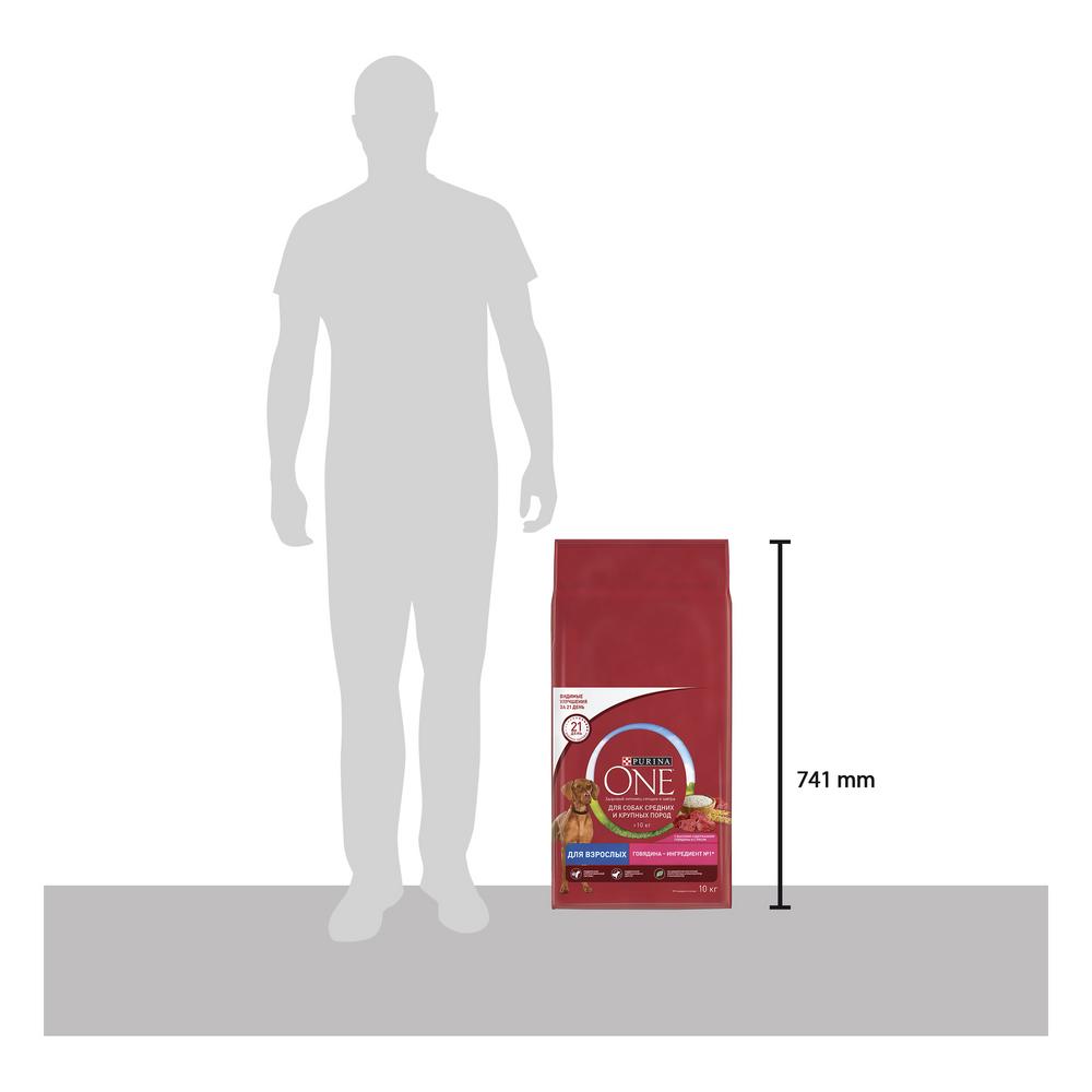 ПР0059685 Корм для собак для средних и крупных пород, говядина, рис сух. 10кг ONE  - Вид №11