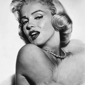 A2-018 Фотообои DIVINO Collection A 2.7х2 м