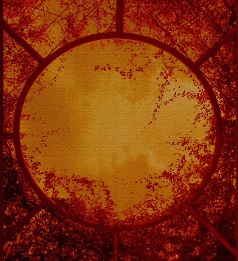 Wall&decò Огнеупорные экологические обои Contemporary wallpaper 2020 Wdrt200 - Вид №1