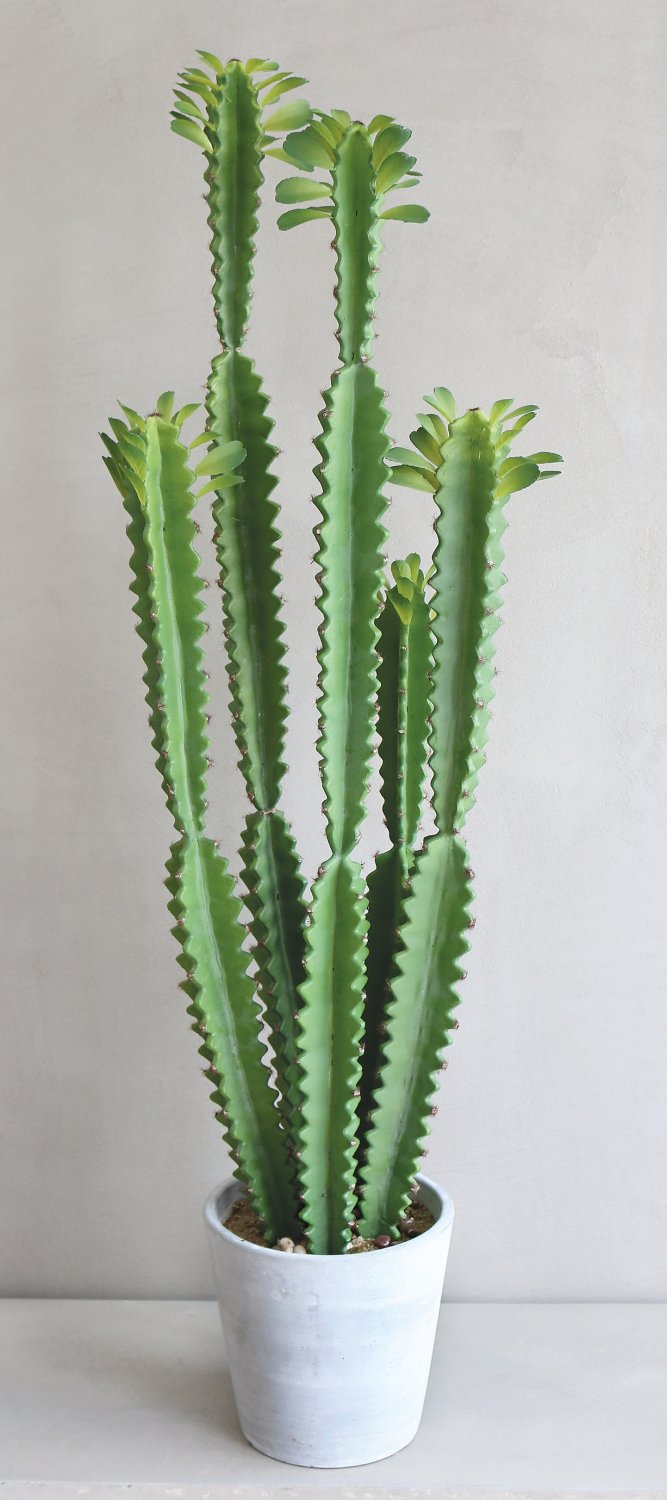 6063 883 a3 Молочай искусственный тригона, горшечный, 100 см, зеленый H-andreas  - Вид №1