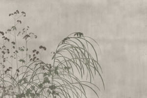 Обои с цветочными мотивами