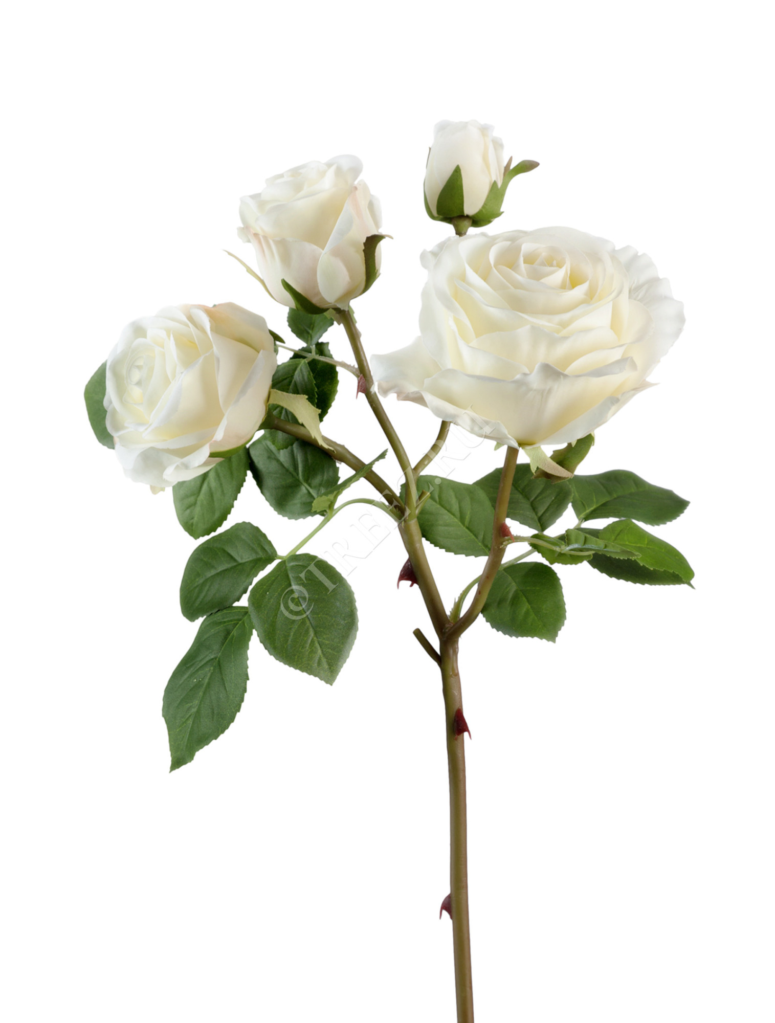 30.0610008WH Роза Флорибунда ветвь белая Цветочная коллекция 