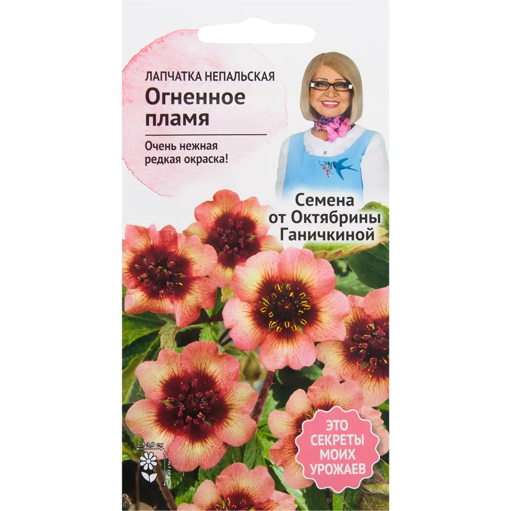 Лапчатка «Огненное пламя» 0.02 г 82481700 STLM-2058910 СЕМЕНА ОТ ОКТЯБРИНЫ ГАНИЧКИНОЙ 