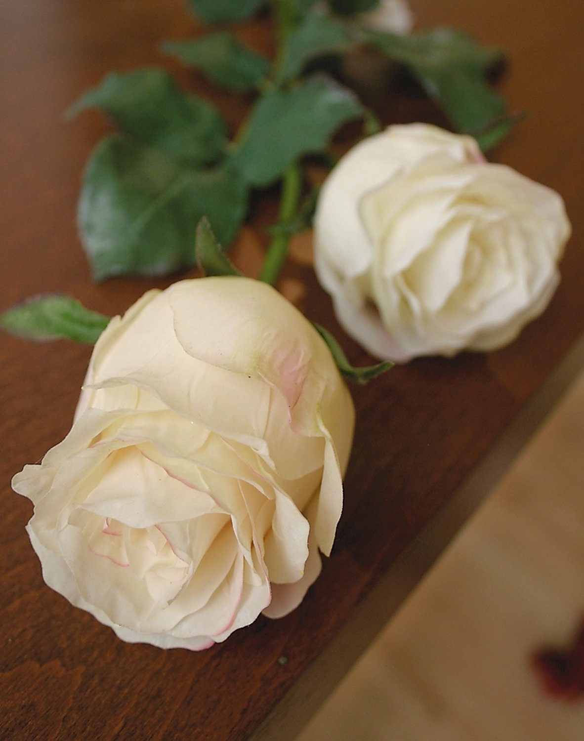 3256 778 a3 Ложная роза Duchesse, 85 см, бежево-белая H-andreas  - Вид №1