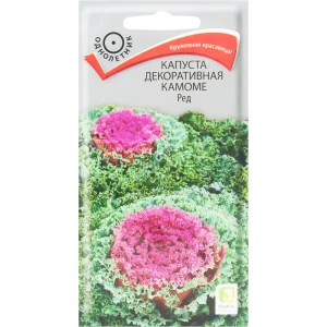 Капуста декоративная «Камоме» красная 82424757 STLM-2112719