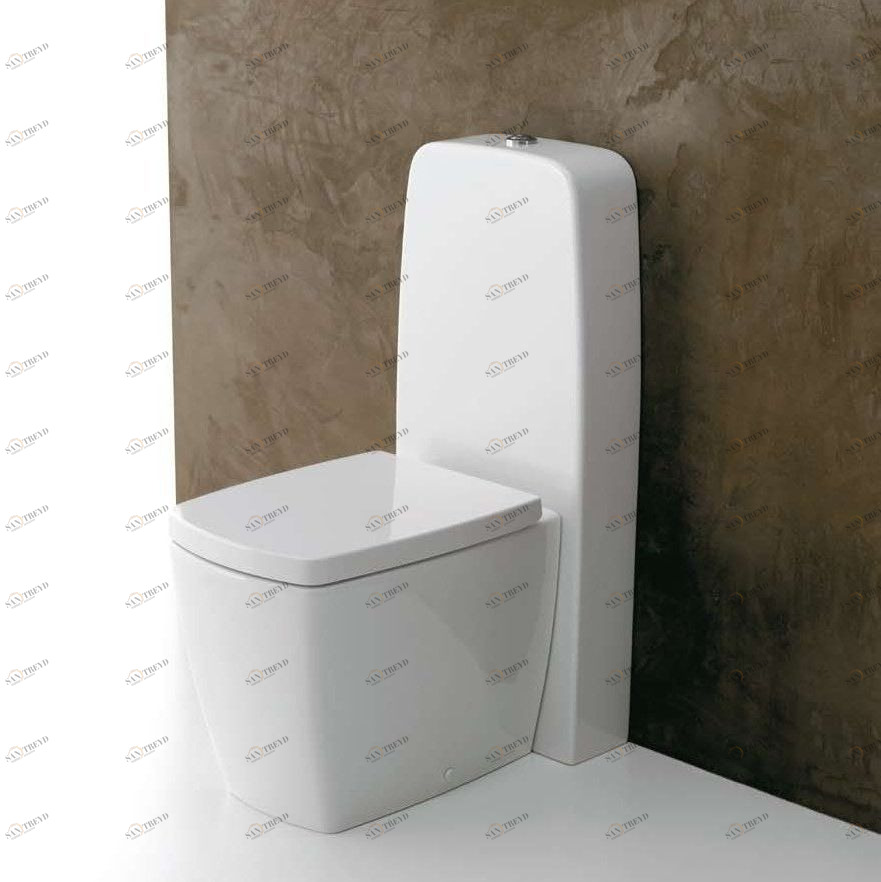 42322 Компакт унитаз с бачком Белый  X-Tre Италия Santreyd