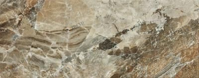 Orinoco noce 20x50 Argenta 278