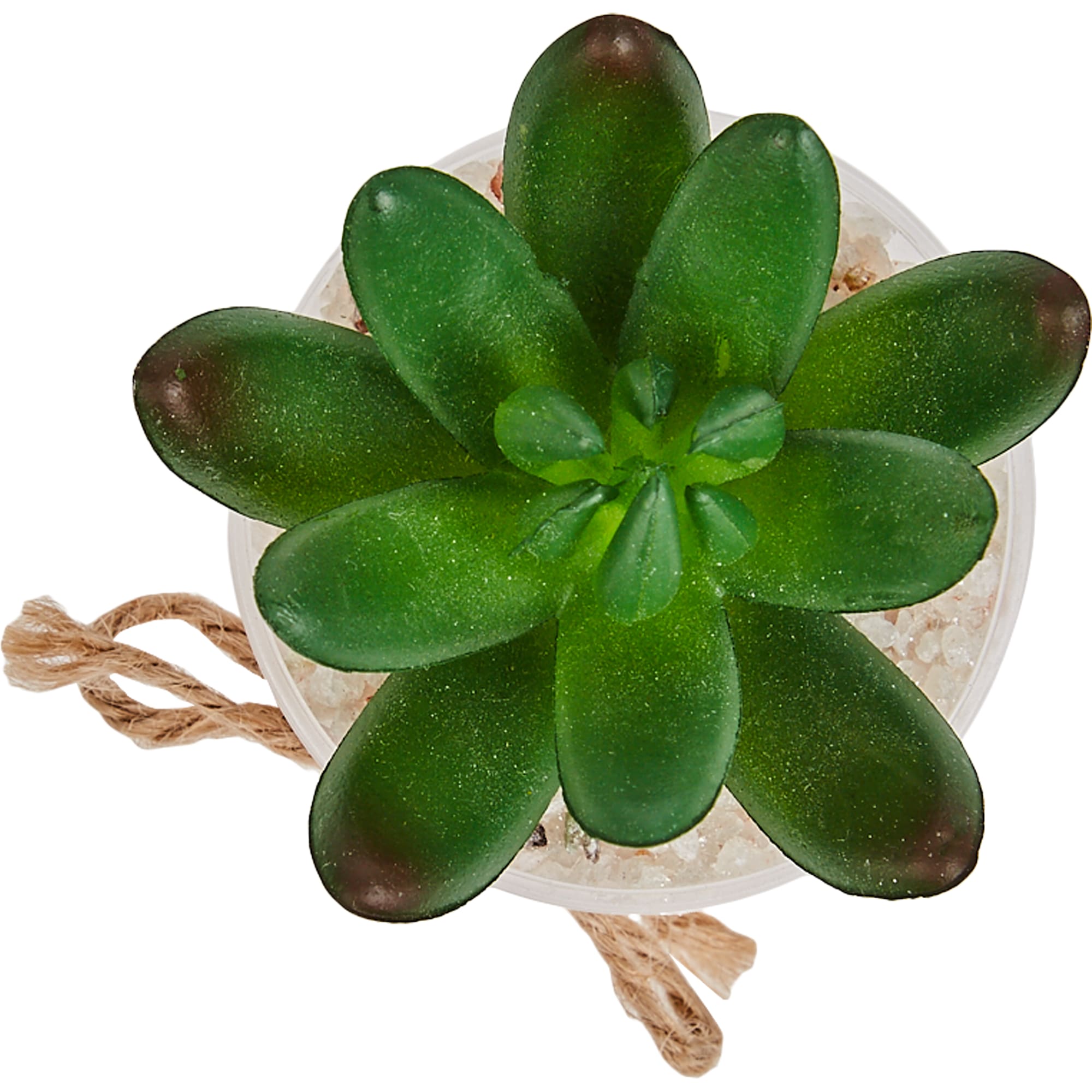 88249644 Искусственное растение в полупрозрачном горшке вид 1 Santreyd  - Вид №1