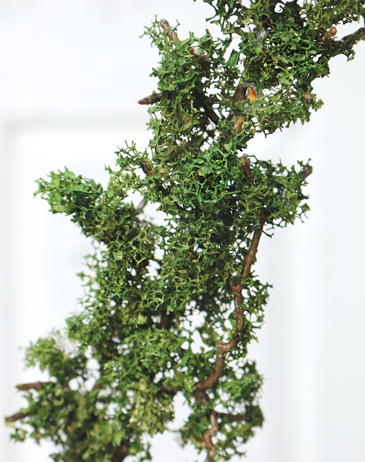 3413 883 a3 Спрей Искусственный мох, 80 см, зеленый H-andreas  - Вид №1