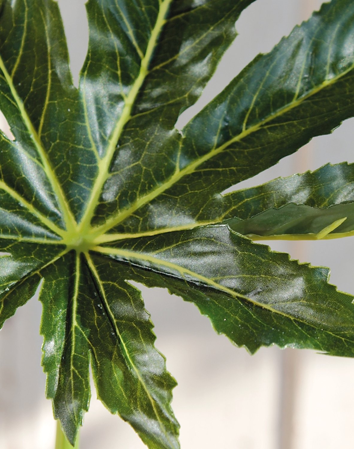 5833 883 a3 Лист искусственной аралии, 68 см, Ø 25 см, зеленый H-andreas  - Вид №1