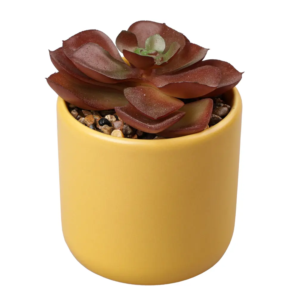 Искусственный суккулент Dream River в керамическом горшке 12 см 89432352 STLM-1578714