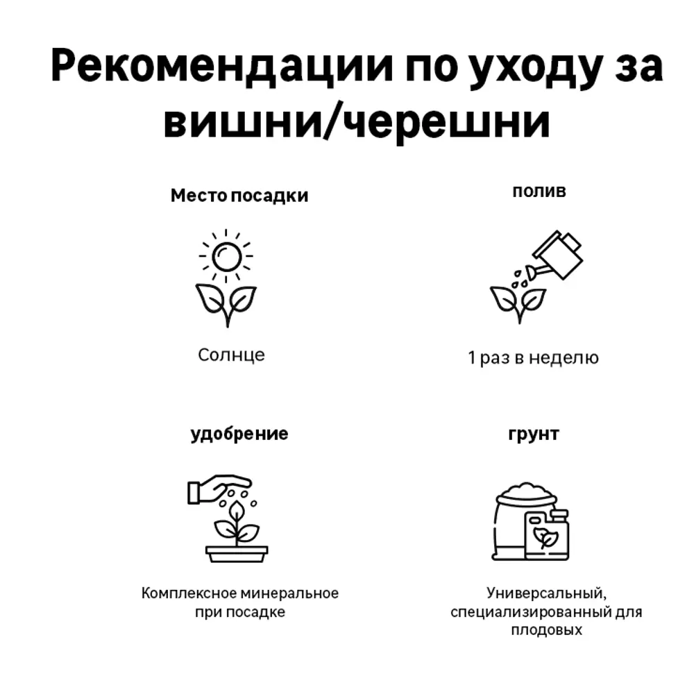 Черешня Дерево-сад Приусадебная/Мичуринка/Ревна h150 см 89353486 STLM-2141408 Santreyd 