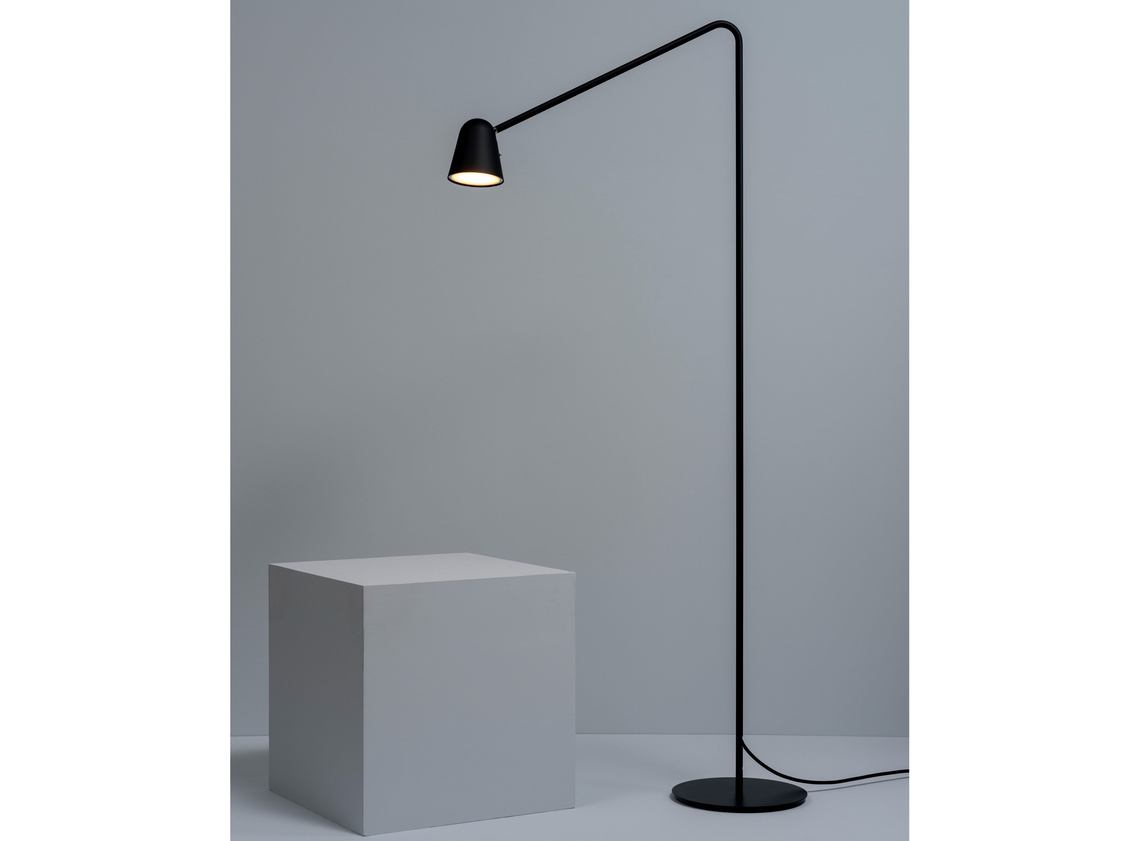 Окрашенный металлический торшер Formagenda Chaplin ARCH-00053856 - Вид №1