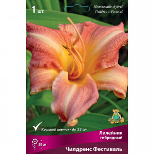 88295014 Лилейник гибридный Чилдренс фестиваль луковица I