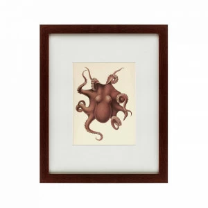 Картина в раме 52х42 см Pacific Octopus, 1731 КАРТИНЫ В КВАРТИРУ  135739 Коричневый