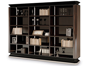Книжный шкаф из черного дерева