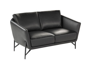 2-местный кожаный диван