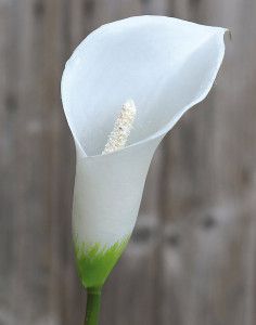 3975 777 a1 Искусственный цветок калла лилия, синтетический материал, 65 см, белый H-andreas
