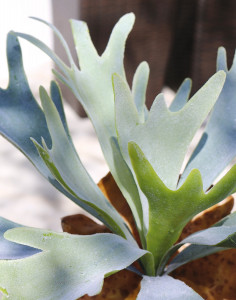 4912 809 a3 Искусственный папоротник оленьего рога, 32 см, зелено-серый H-andreas