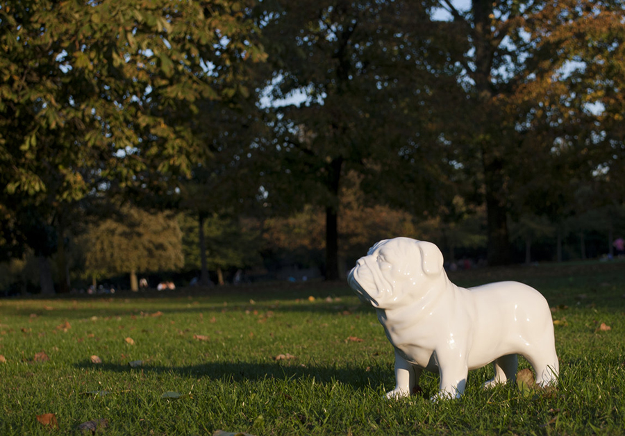 SK MONEYDOG1 Копилка bull dog Suck UK  - Вид №3