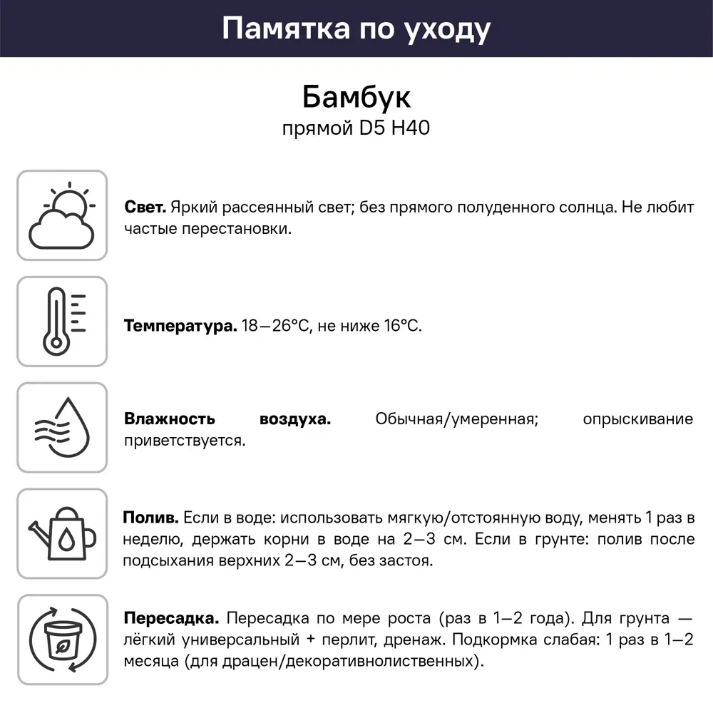 Бамбук прямой ø5 h40 см 89434606 STLM-2076728 Santreyd  - Вид №3