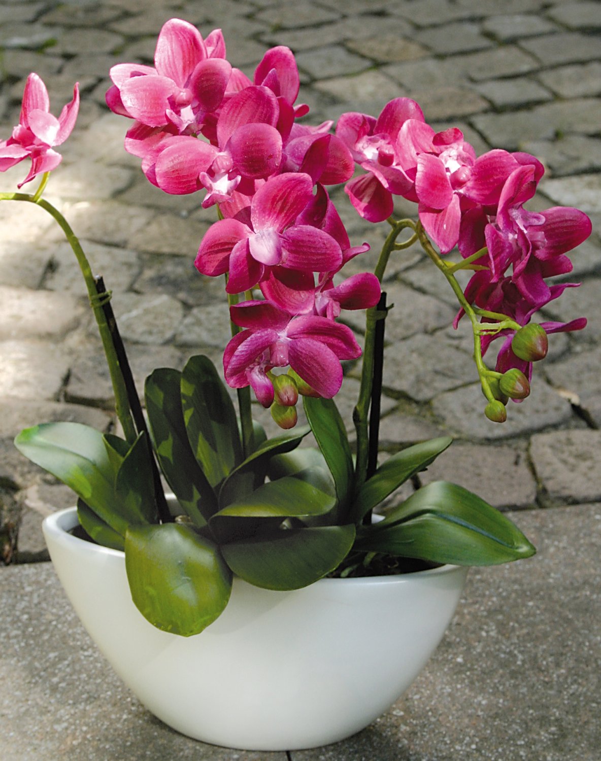 2609 420 a3 Пластиковая орхидея Phalaenopsis, 3-х кратная, в миске, 38 см, real touch, вишня H-andreas  - Вид №8