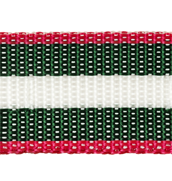 3823 (3824) Стропа 30 мм ФАСОВКА 2.5 м красный/малахит/белый Santreyd 