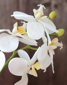 2601 777 a3 Искусственная орхидея Phalaenopsis, 37 см, real touch soft, белая H-andreas