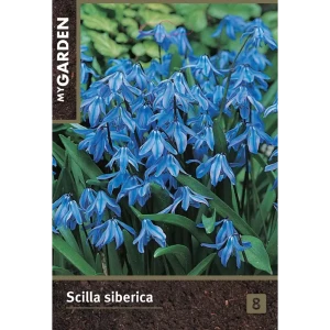 Сцилла cибирская голубая луковицы 6/7 89432956 STLM-2007214