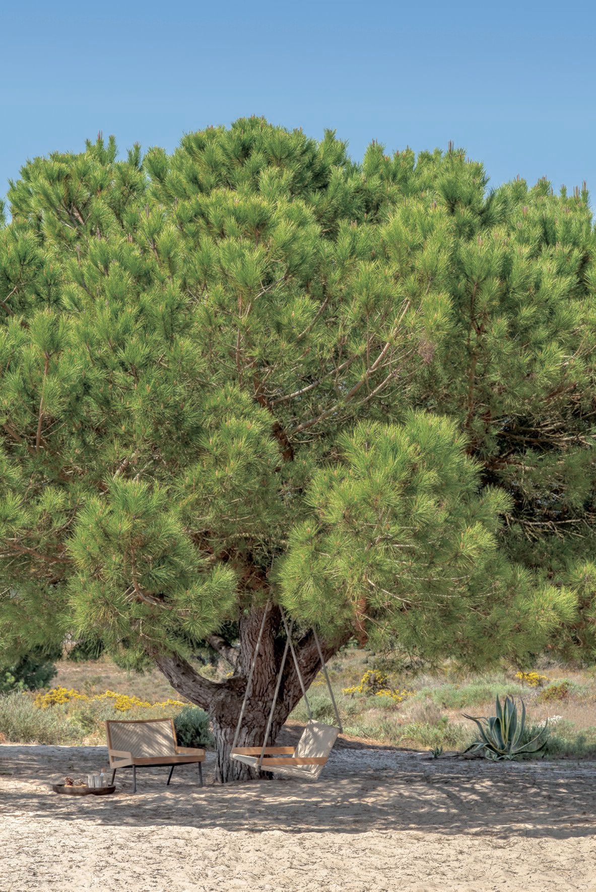 2-местный диван из тика и полипропиленовой веревки Ethimo открытый ARCH-00003767 - Вид №1