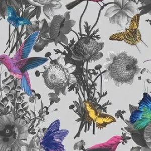 106430 Обои Graham&Brown Curiosity