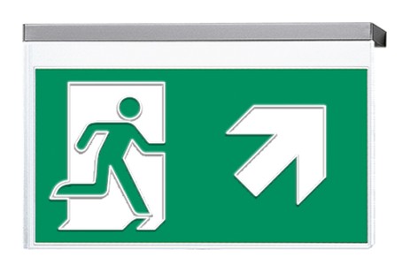 DST-2257 Vir-p Daisalux Светильники сигнальные Белый 