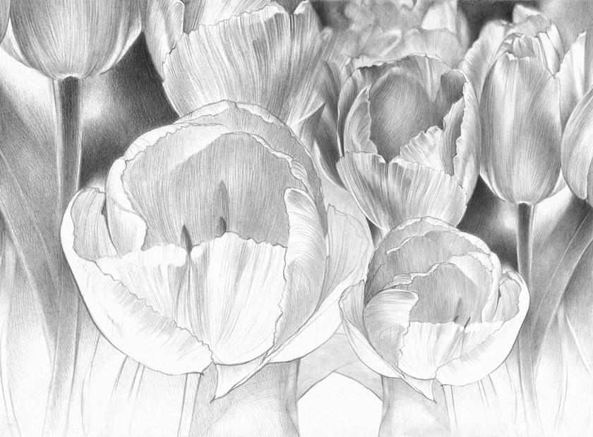 Tecnografica Флизелиновые обои Collezioni d'arte sun-id-1345989 - Вид №1