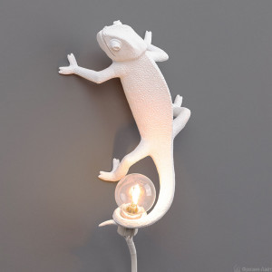 Seletti 14662 Chameleon Going up светильник настенно-потолочный