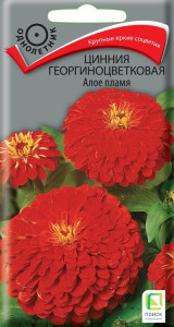 Семена циннии Алое Пламя Santreyd - яркие георгиноцветковые цветы 86218003