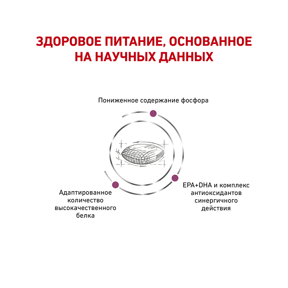 Т0023207 Корм для собак Renal RF 14 Canine для поддержания функции почек, сух. 2кг ROYAL CANIN  - Вид №3