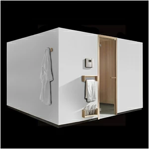 Сауна 250х300 см One Carmenta OSS11-19