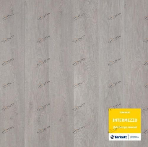 Ламинат Tarkett Дуб Аккорд Зимний 1000900876