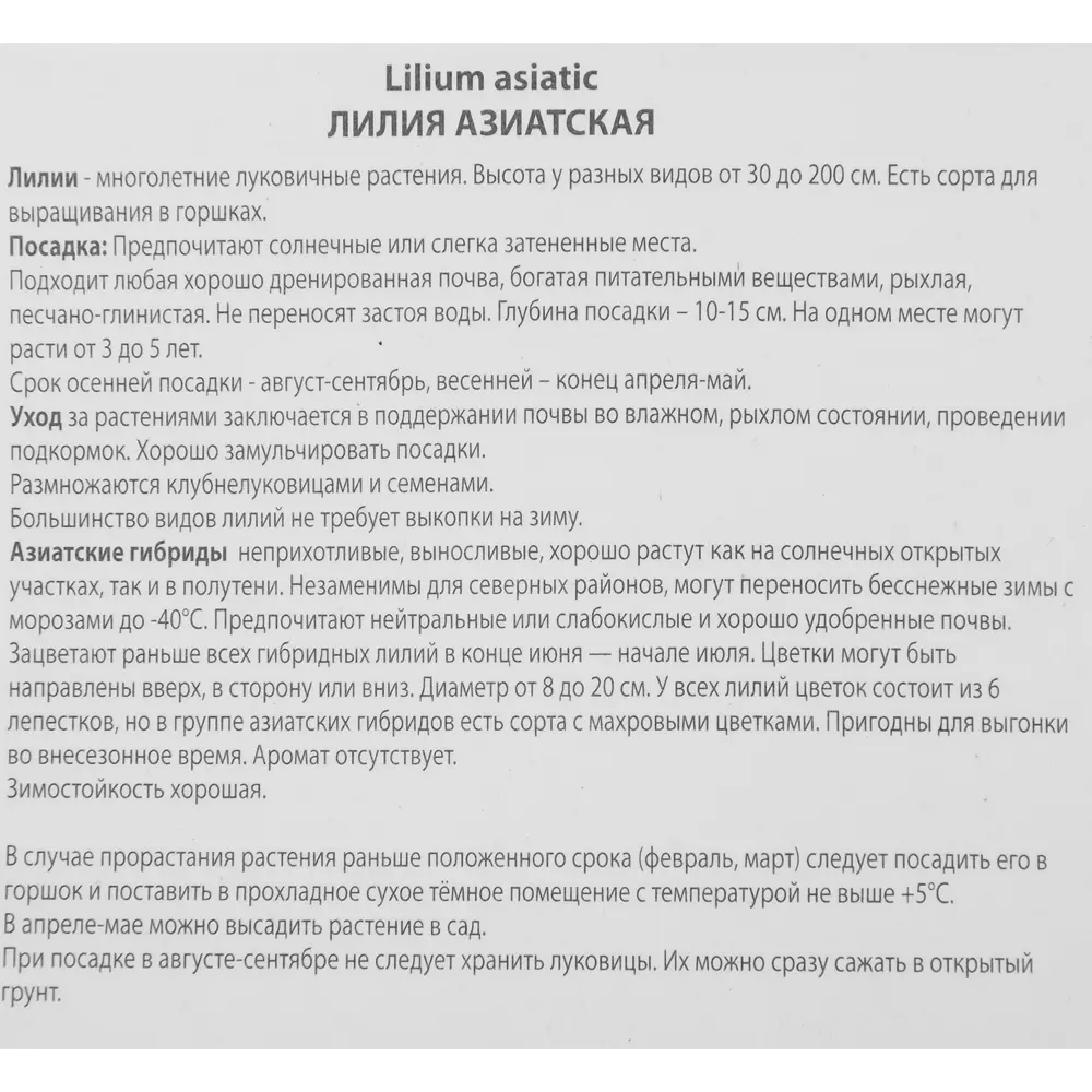 Лилия азиатская махровая Аарон 85205794 STLM-2110849 ПОИСК  - Вид №2