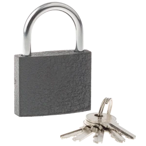 Замок навесной ARMEX ВС1-50 для надежной защиты дверей и ворот 89393330