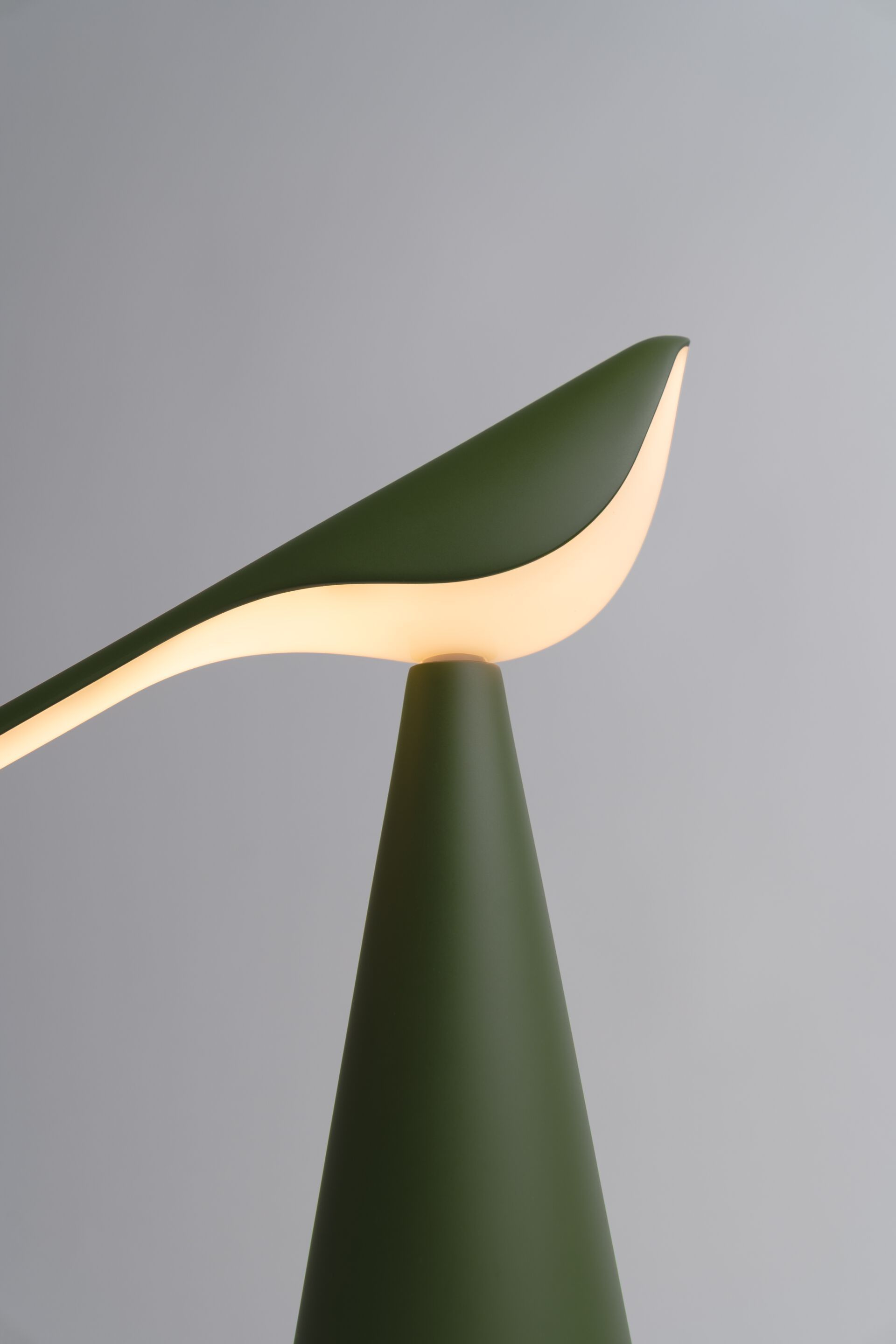 Алюминиевая светодиодная настольная лампа Established&Sons TIKI ARCH-00145932 - Вид №80