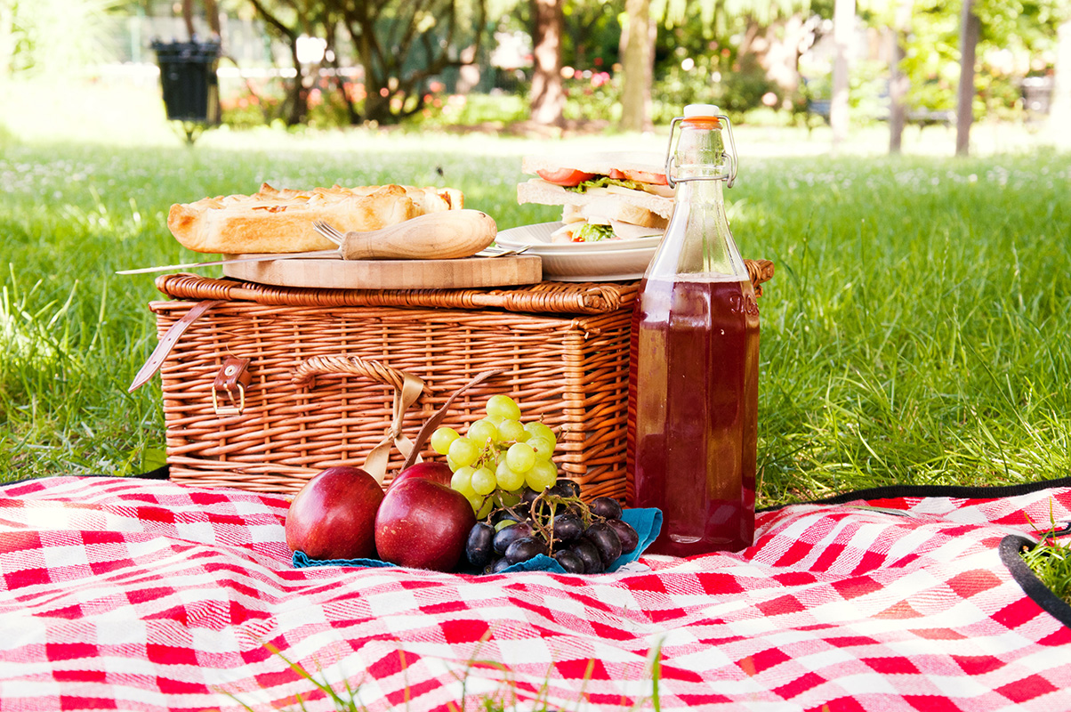 SK PICNICBEAR1 Коврик для пикника bear красный Suck UK  - Вид №6