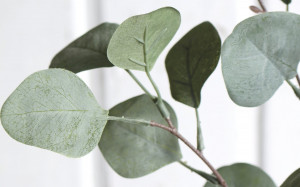 5354 888 a3 Стебель искусственного эвкалипта, 73 см, темно-зеленый H-andreas