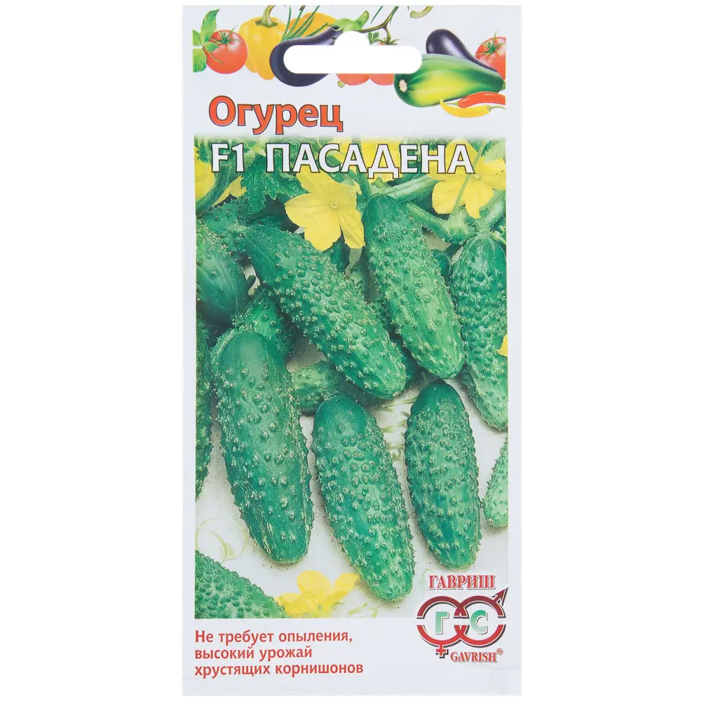 Семена Огурец корнишон «Пасадена» F1, h12, 0.3 г (Голландия) 81933367 STLM-2146131 ГАВРИШ 